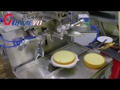 মাল্টি ফাংশন ক্রীম স্প্রে মেশিন